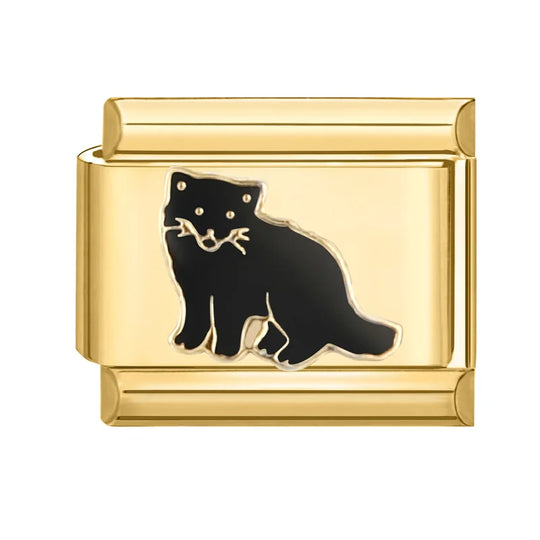 Black Racoon